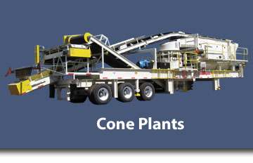 High Production Cone Plants